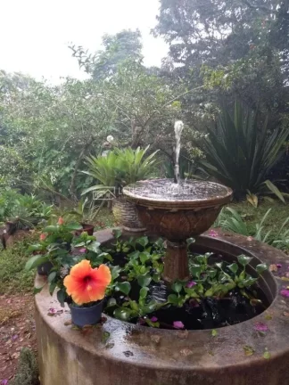 Imagem Sítio a venda