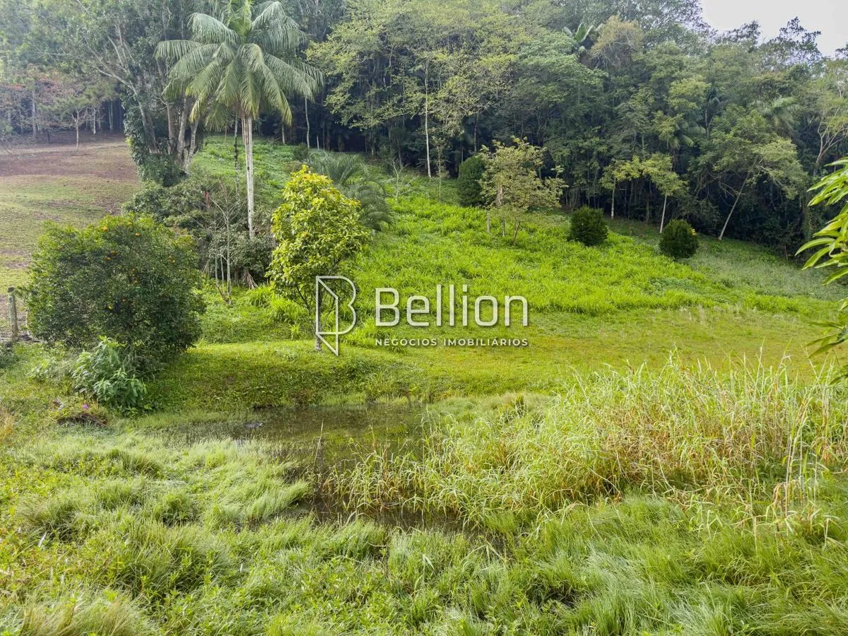 Imagem Investimento com alto potencial de valorização ou o lugar ideal para construir o seu refúgio em meio à natureza, este terreno é para você.