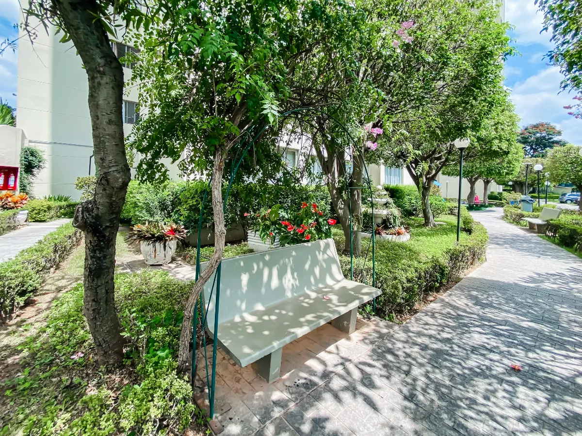 Imagem Apartamento para venda em Parque Maria Domitila com 2 quartos, 56m2