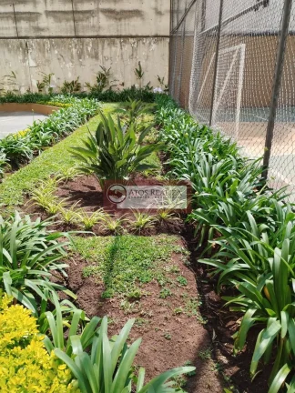 Imagem Alugo Apartamento Térreo com 1 Quarto, Cozinha, Banheiro, Área de serviço, na Região da VILA Mascote, São Paulo.Condomínio com Piscina, quadra, Jardim. mercadominio, salão de festa. Isento de Condomínio e IPTU, Valor R$ 2.000