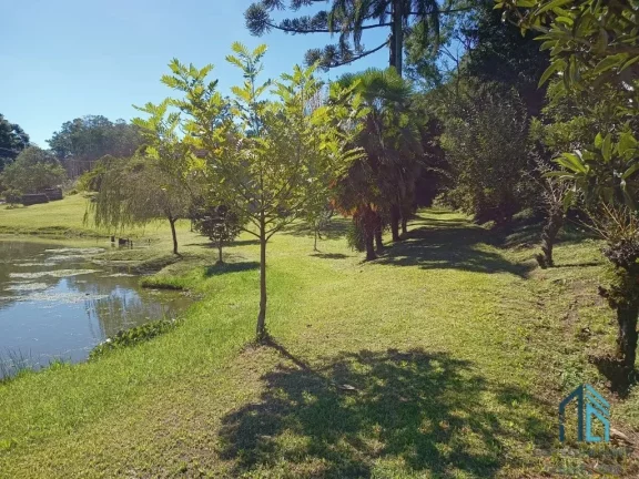 Imagem Terreno a venda, Área de 3.8 hectares em Fores da Cunha - Otávio Rocha RS