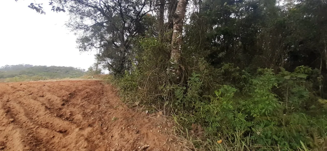 Imagem Projeto pioneiro de compensação ambiental em Piedade, SP!