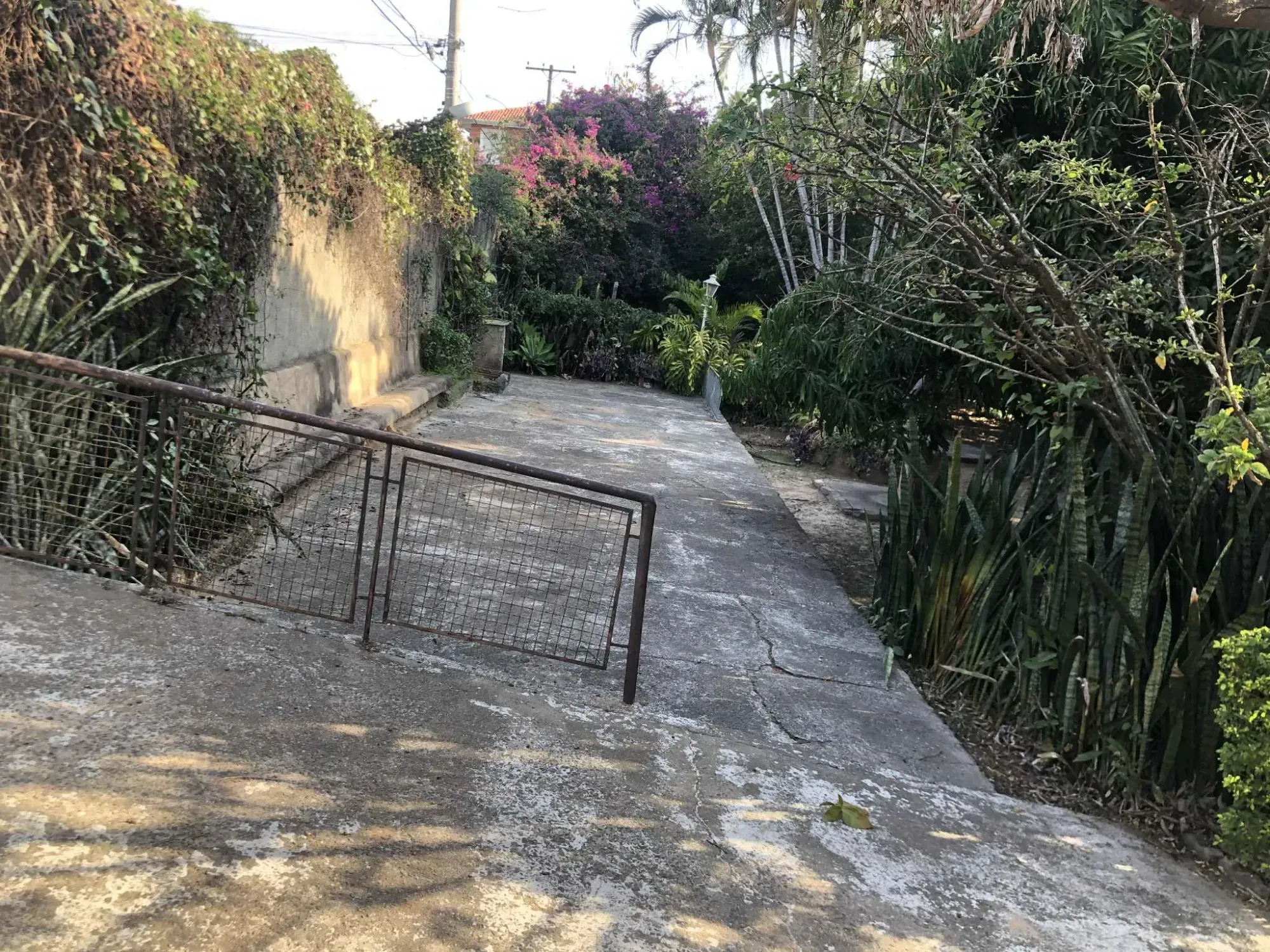 Imagem Terreno à Venda, 1676 metros em Jardim Campos Elíseos - Campinas
