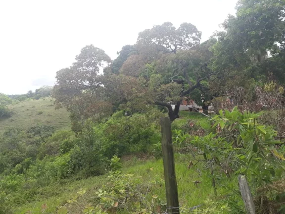Imagem TERRENO EM SIMÕES FILHO