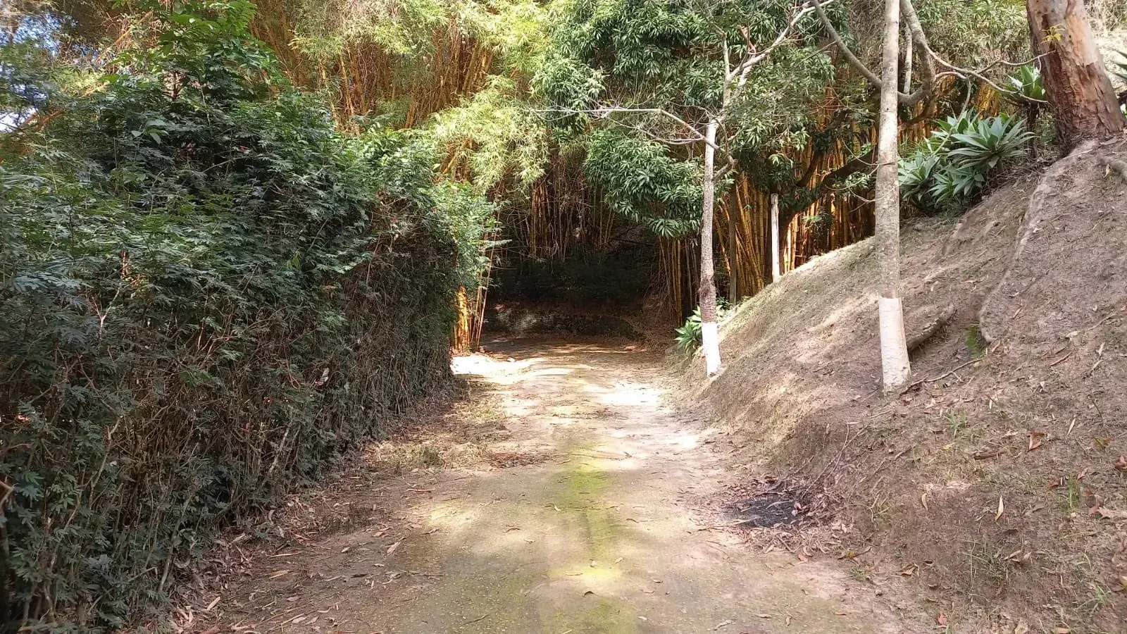 Imagem Fazenda à Venda, 20 HA em Casa Amarela - Betim
