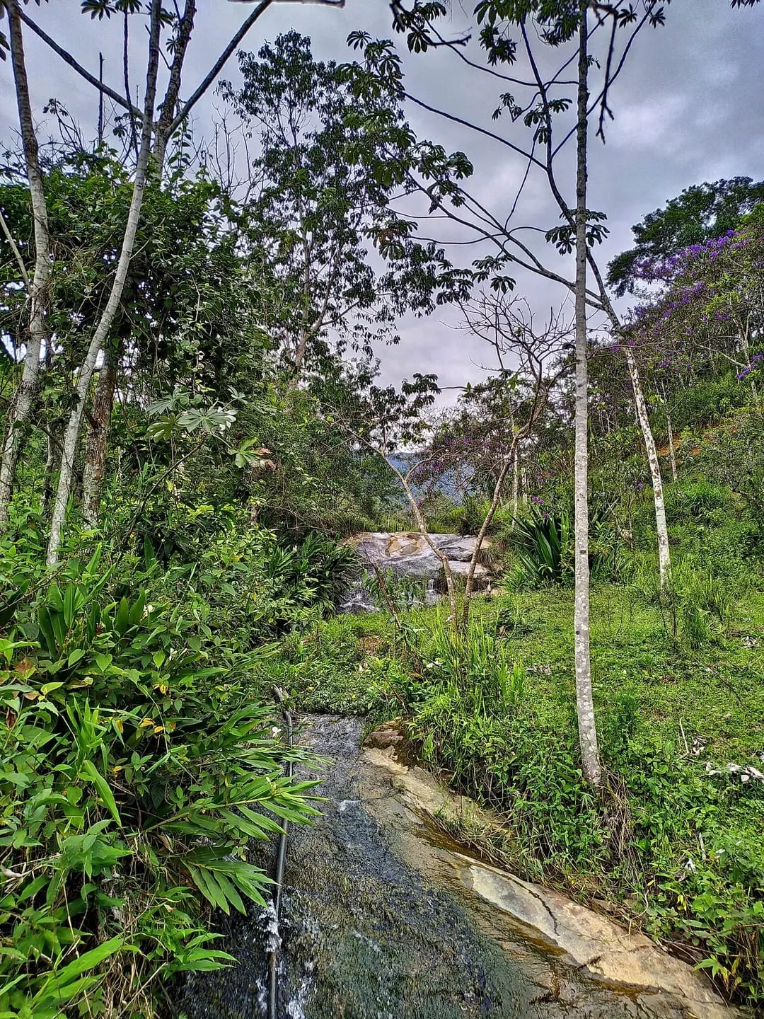 Imagem Chácara à venda 76000M², Ribeirão Grande, Pindamonhangaba - SP