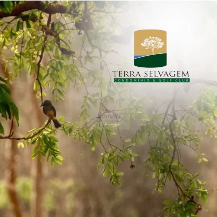 Imagem Terreno em Condomínio à Venda em Cuiabá-MT - Bairro Área Rural - 1.125,00 m² de Área