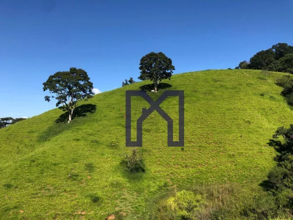 Imagem Sítio à venda, 19 Hectares por R$ 600.000 - Wenceslau Braz - Wenceslau Braz/MG