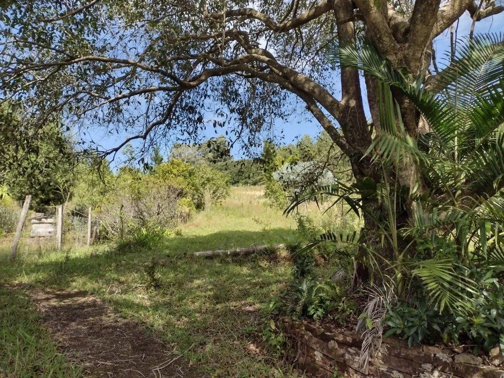 Imagem Sítio em Albatroz