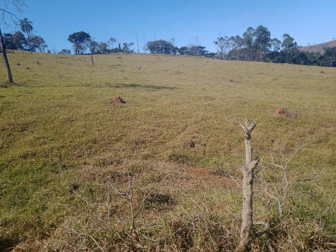 Imagem Venda de Fazenda em Crucilândia 48 hectares de terra