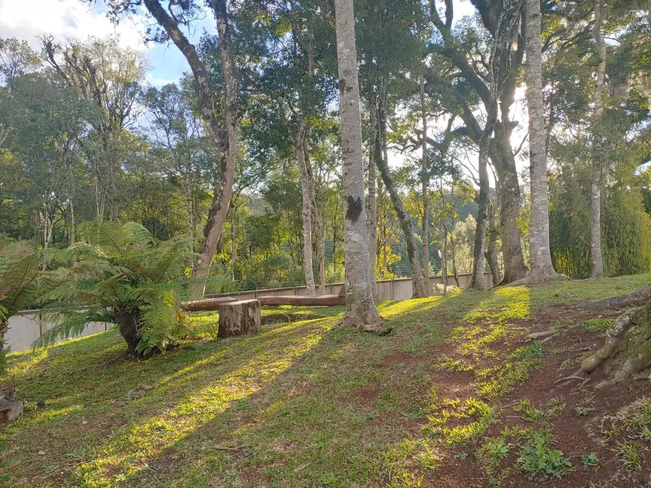 Imagem Lote à venda em Caxias do Sul, Pedancino, 750m2