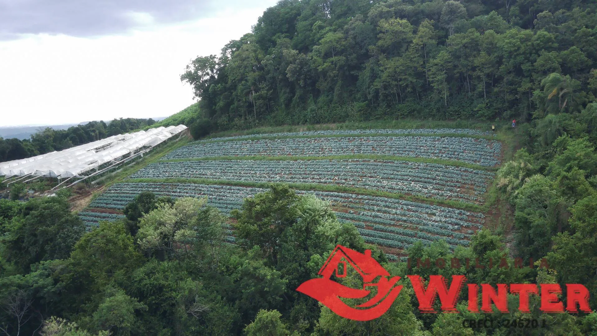 Imagem Área de terras com 16.871m2 no Picão - Feliz