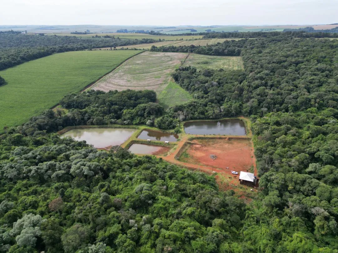 Imagem Chácara à venda em Cascavel, Centro - Casa de caseiro, Rio e Lago para pesca
