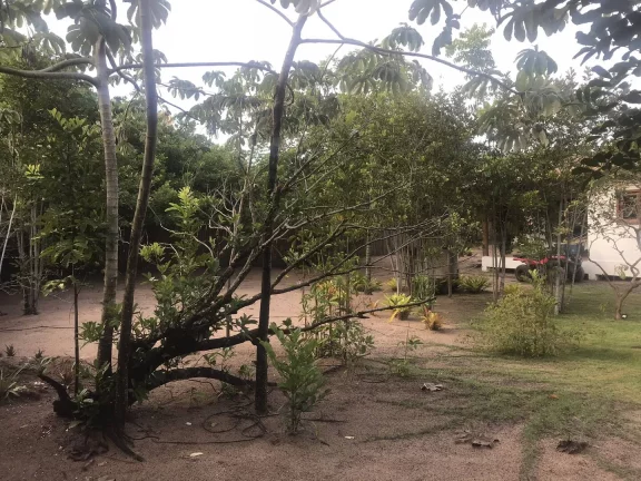 Imagem TERRA DOS PÁSSAROS - CASA PRINCIPAL