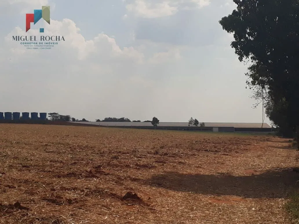 Imagem Sítio a venda Cesário Lange SP