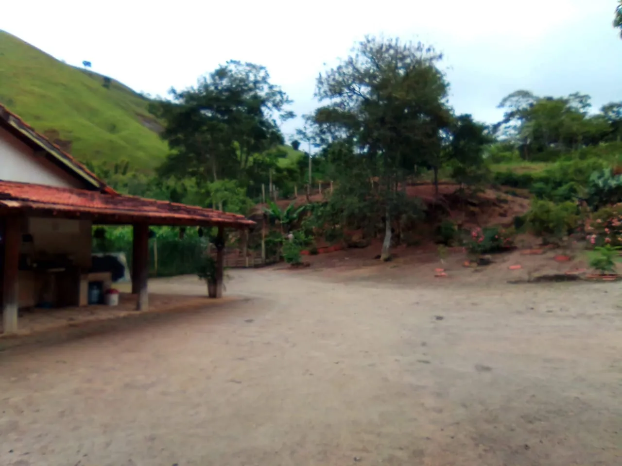Imagem Excelente Propriedade Rural com 25 Hectares e Riqueza Hídrica