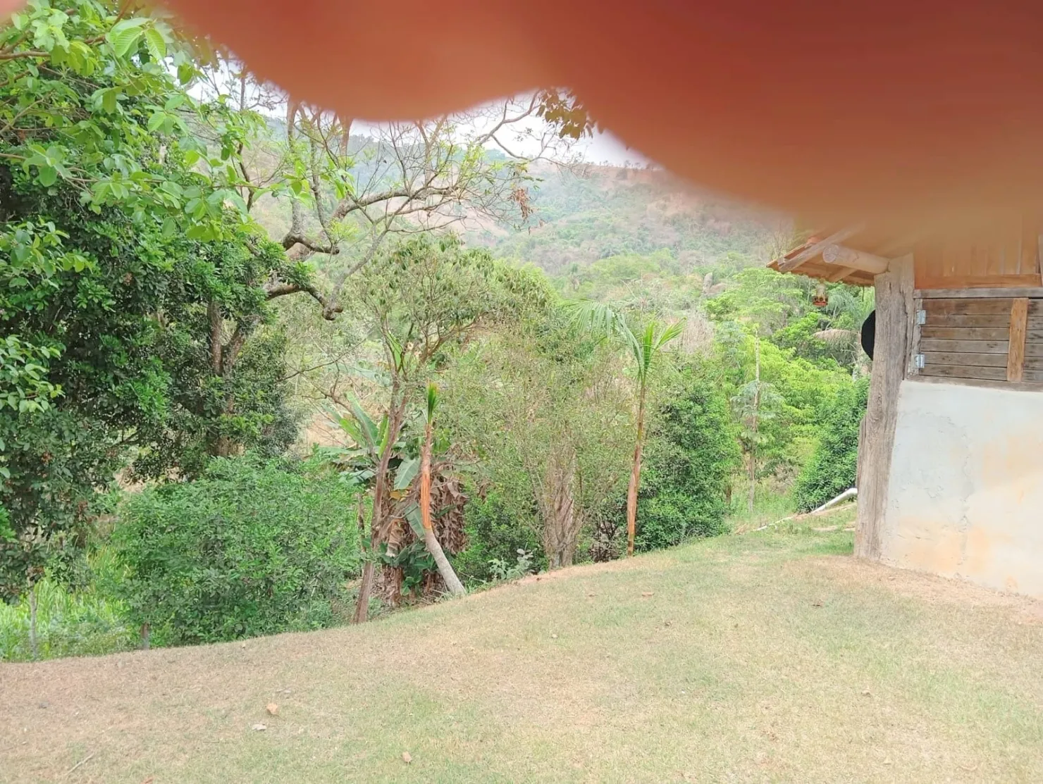 Imagem Fazenda proxima a Dutra paraa venda, , Roseira Velha, SP
