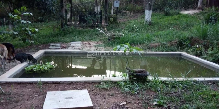 Imagem Sítio a venda