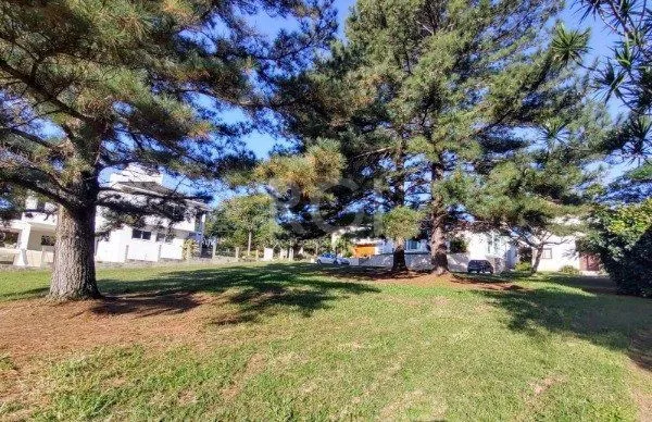 Imagem Terreno em Condominio para Venda - 0m², 0 dormitórios, Elsa