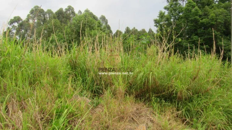 Imagem Terreno para Venda em Concórdia, Industriários