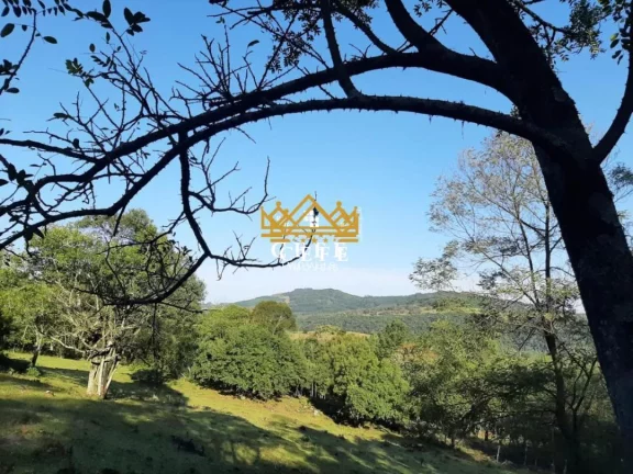 Imagem Chácara - Sítio com 2 Dormitorio(s) localizado(a) no bairro Zona Rural em São Francisco de Paula / RIO GRANDE DO SUL Ref.:1345