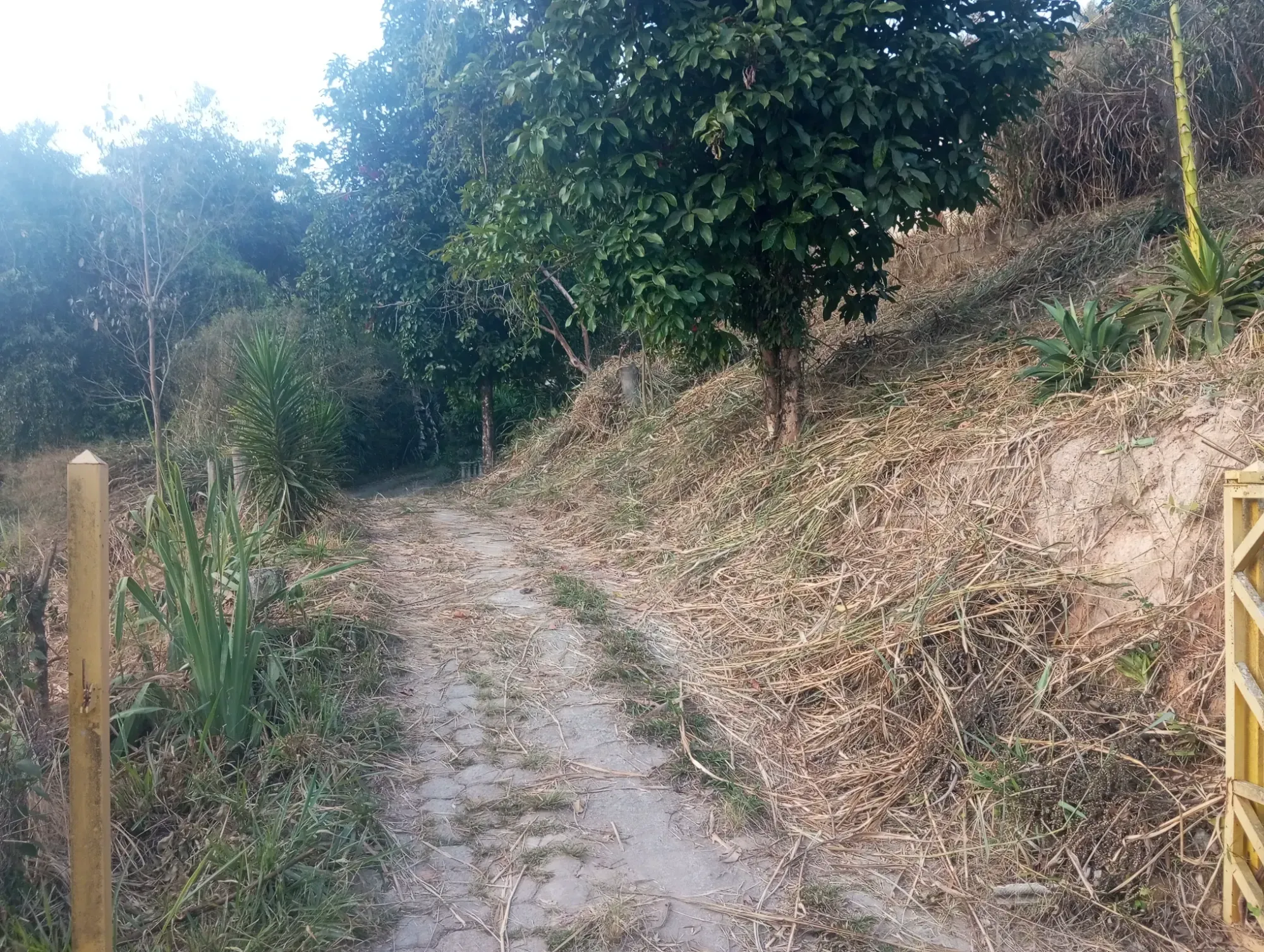 Imagem Chácara com 5 Quartos à Venda, 8.000 m² em Ravenópolis (Ravena) - Sabará