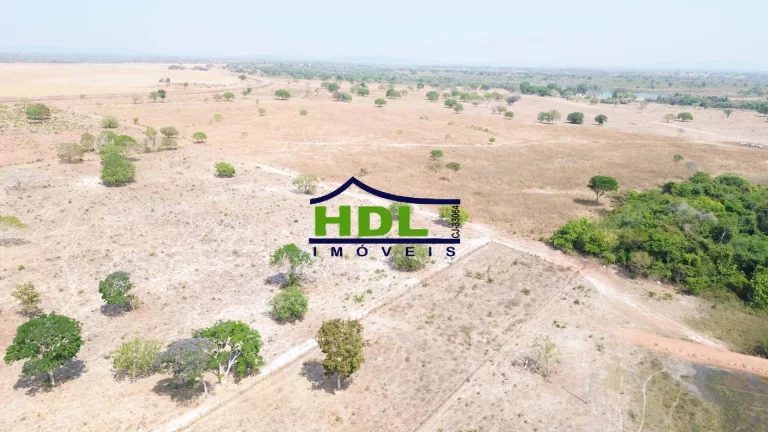 Imagem Fazenda de OPORTUNIDADE Dupla Aptidão em Peixe do Tocantins