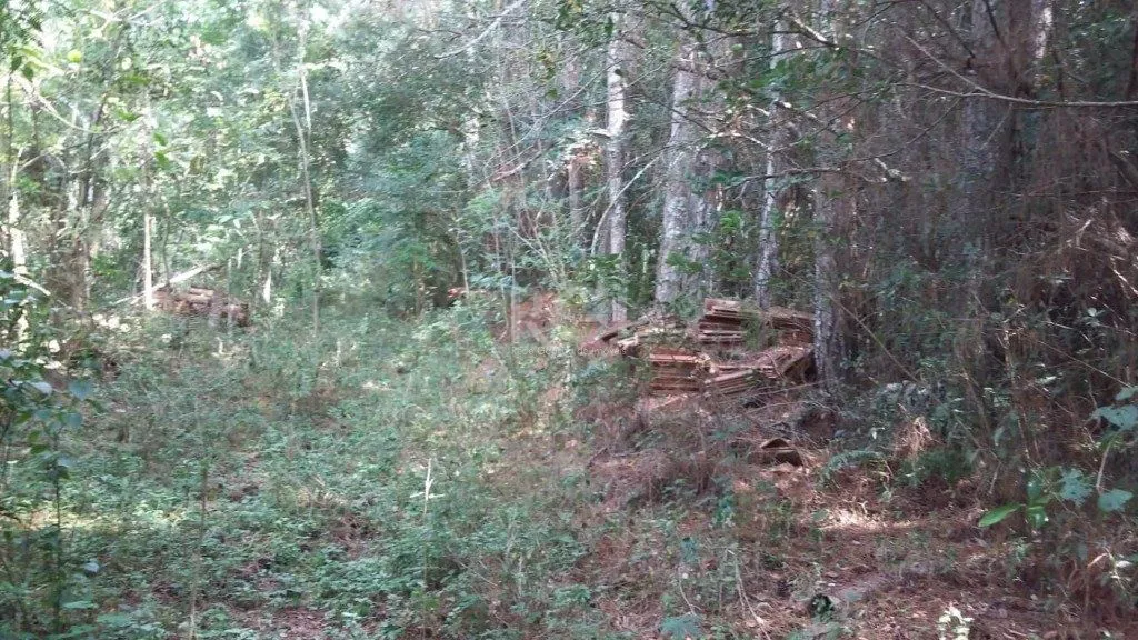 Imagem Area para Venda - 0m², 0 dormitórios, Ponta Grossa