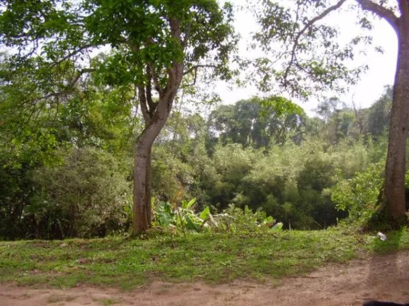 Imagem TERRENO Padrão em SUZANO - SP, Meu Cantinho