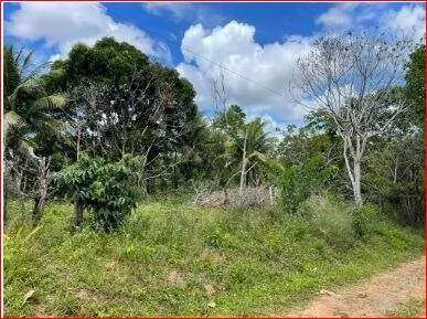 Imagem Terreno à venda em Camaçari, Coqueiros de Arembepe (Abrantes), 5000m2