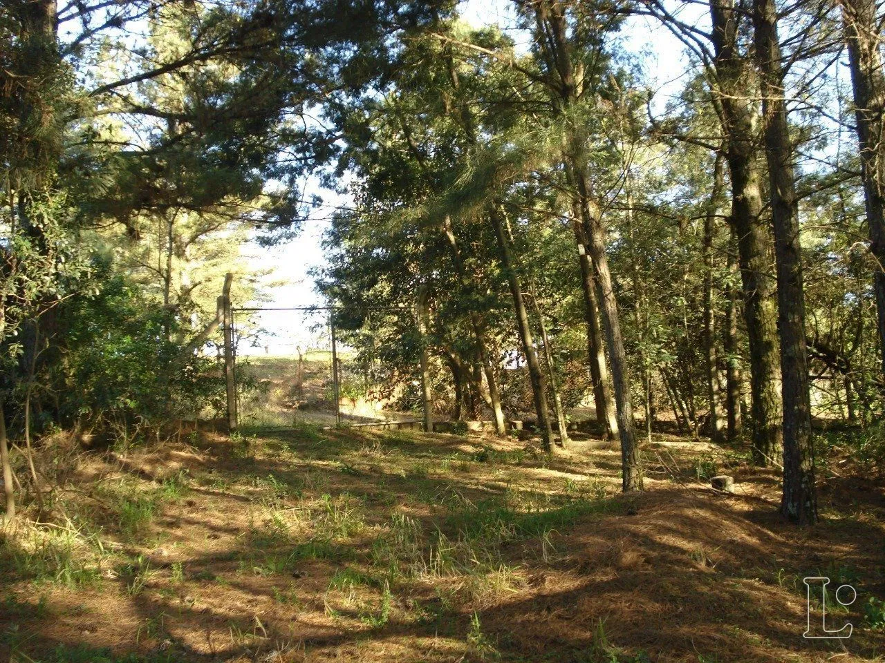 Imagem Terreno para Venda - 0m², 0 dormitórios, Vila Nova