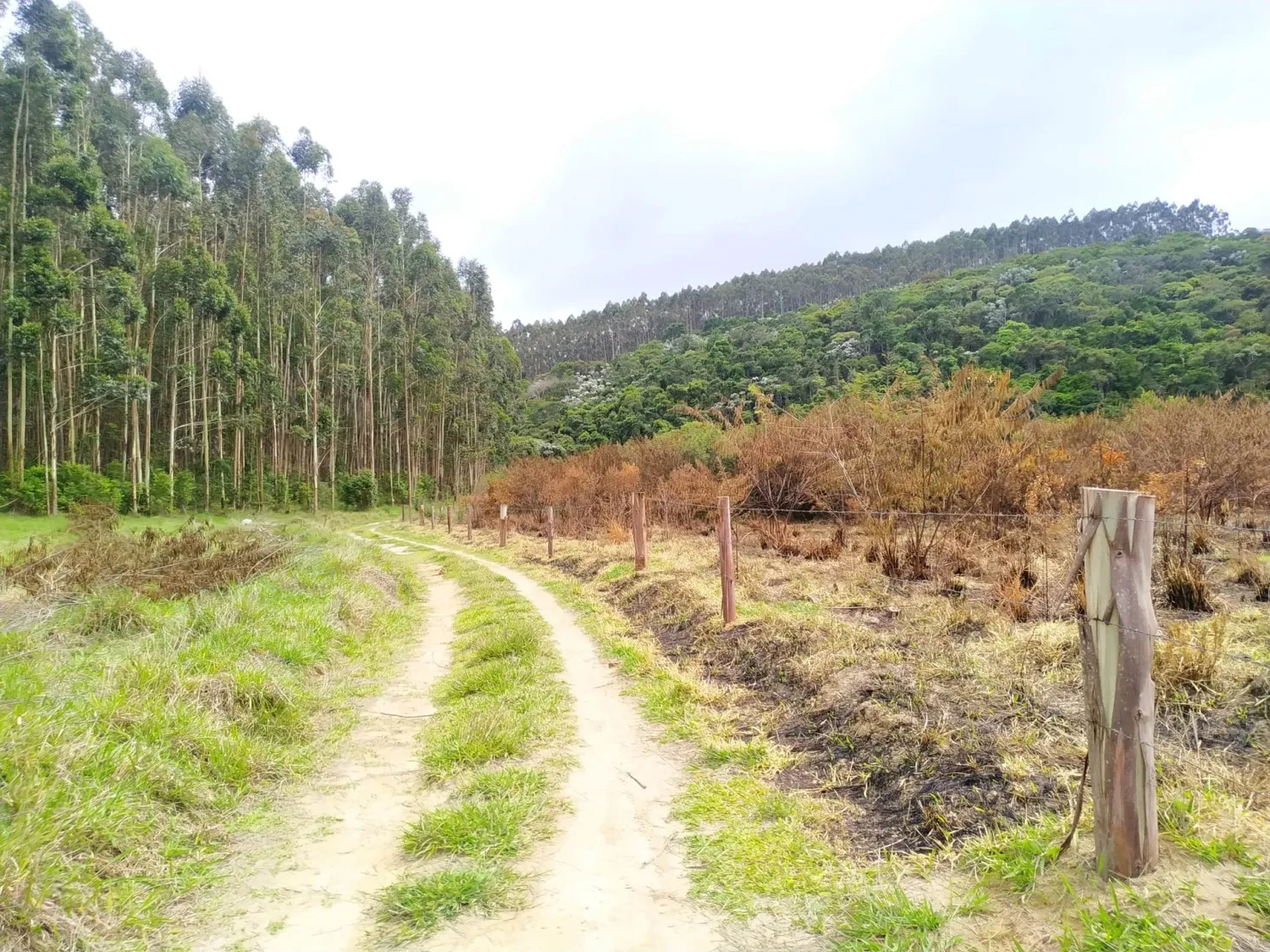 Imagem Chácara à venda 1700000M², Centro, São Luiz do Paraitinga - SP