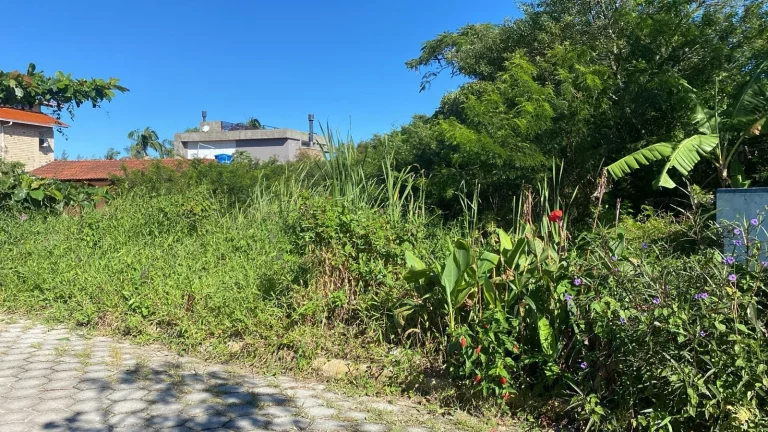 Imagem Oportunidade única: Terreno de 530m² na Praia da Ferrugem em Garopaba-SC, a menos de 300m do mar! Documentação completa e viabilidade construtiva. Aproveite!