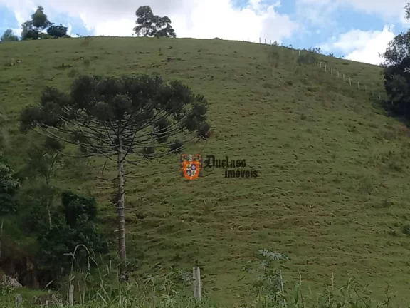 Imagem Sítio com 3 dormitórios à venda, 41000 m² por R$ 1.380.000,00 - Joanópolis - Joanópolis/SP