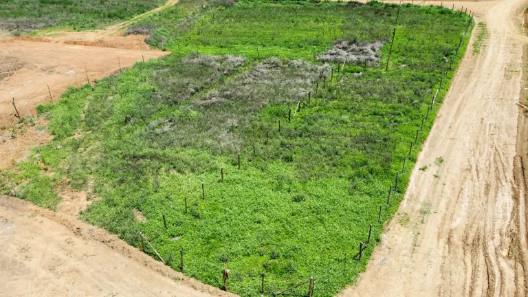 Imagem Terreno à Venda, 1.000 m² em verava - Ibiúna