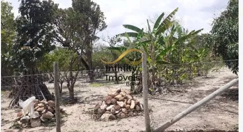 Imagem Sítio à venda no bairro Ravena - Sabará/MG