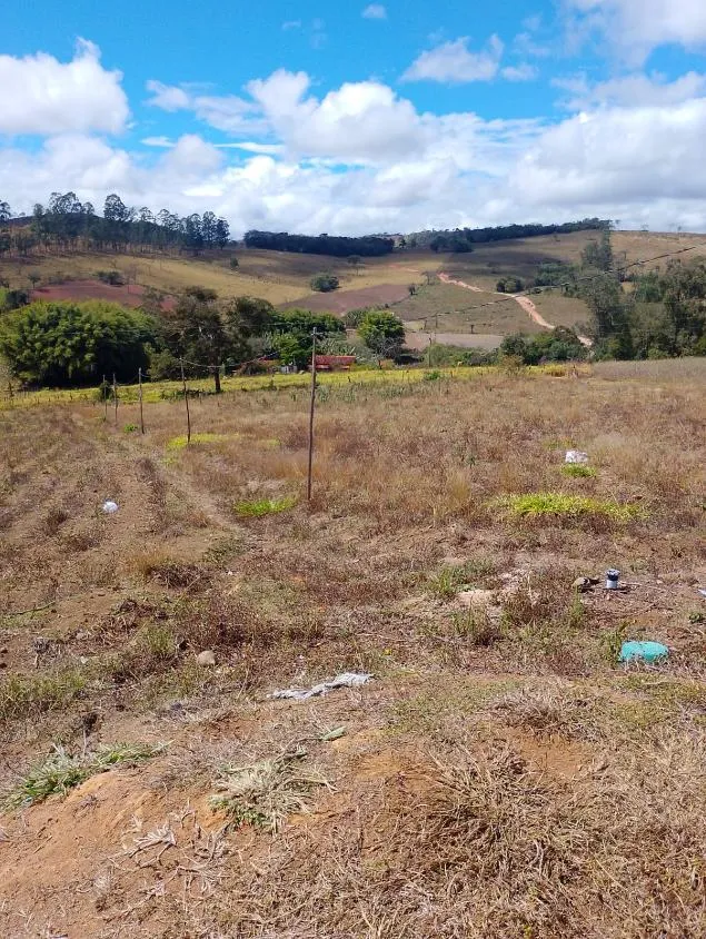 Imagem Vendo um excelente sítio em Piedade dos Gerais/MG, com 5,6 hectares (56.000 m²)