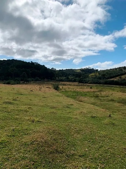 Imagem Chácara à venda 20000M², Aparição, Cunha - SP