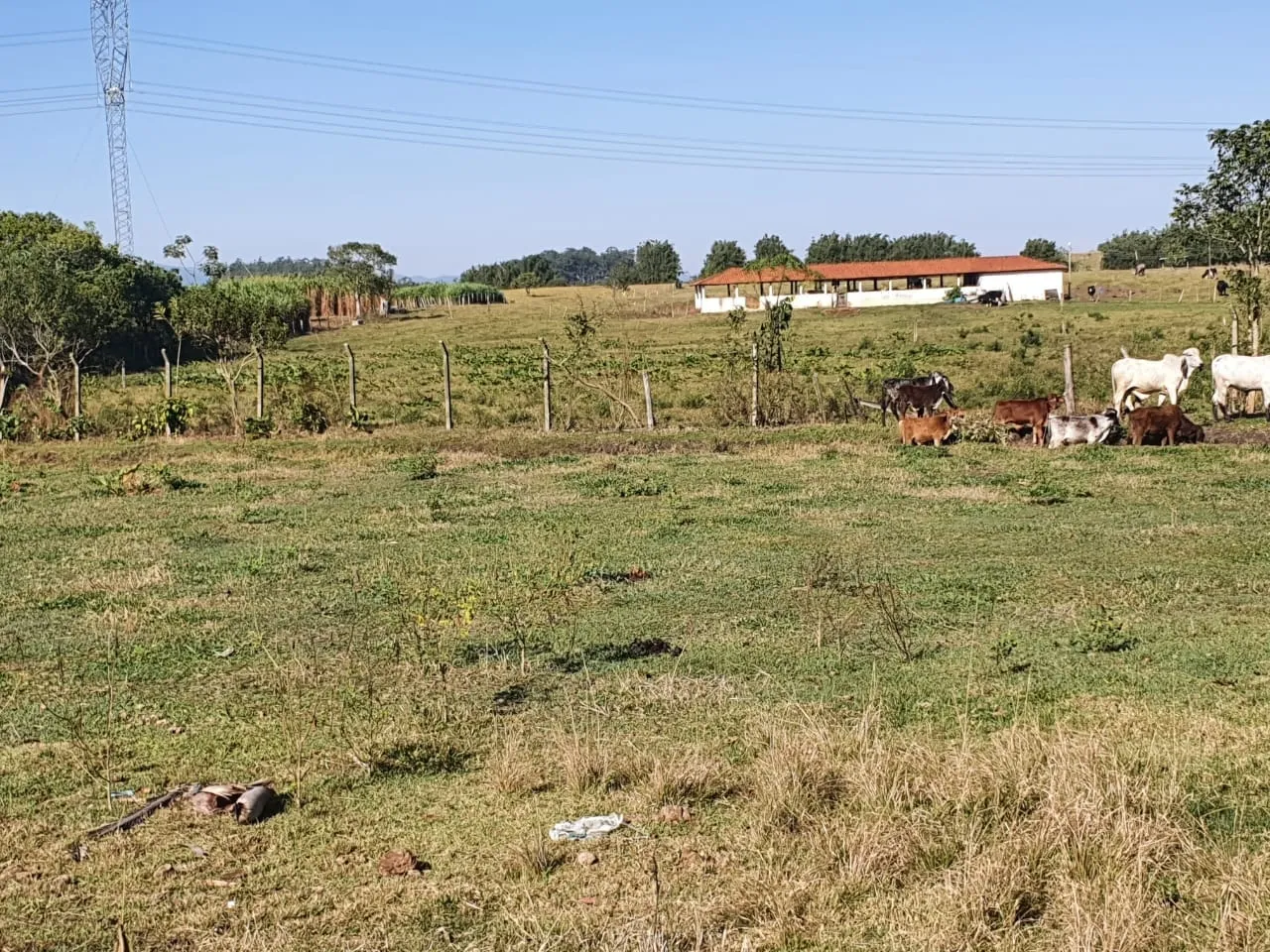 Imagem Chácara à venda 2 Quartos, 50000M², Zona Rural, Potim - SP