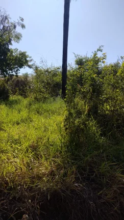 Imagem Bauru/SP, Vale do Igapó, Terreno 1000m², 12x40m², plano, escriturado
