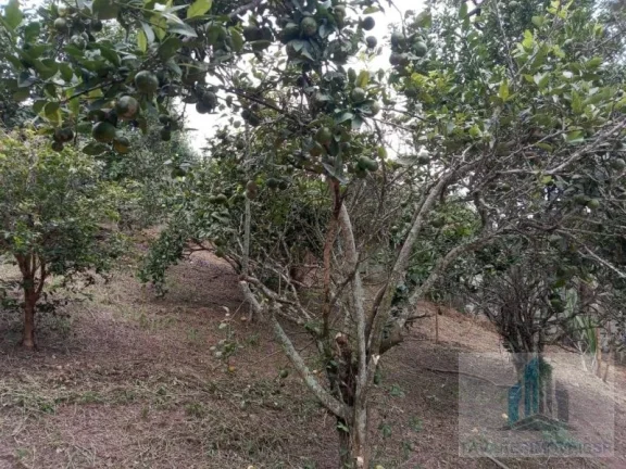 Imagem Chácara com 2 quartos, 3000m2, à venda em Arujá, Chácaras Vista Alegre