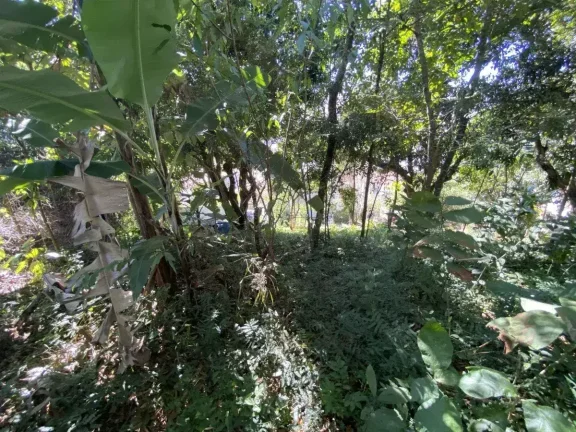Imagem Terreno com 990 m2 no Bairro Boa Morte – Ideal para investimento ou grandes projetos
