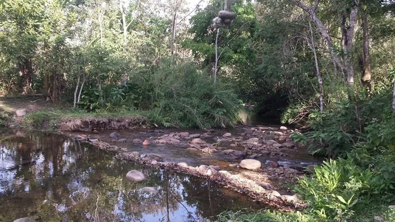 Imagem Chácara à venda 3 Quartos, 4 Vagas, 10000M², Ribeirão Grande, Pindamonhangaba - SP
