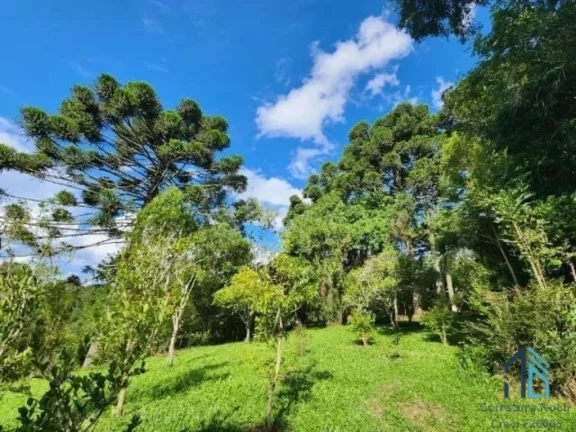 Imagem (PERMUTA) Chácara a venda documentada com 51.000 mil metros e pronta para morar em São José dos Pinhais PR