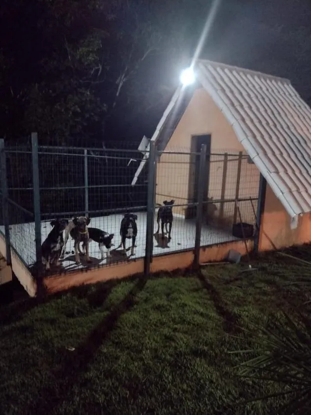 Imagem Vendo um excelente sítio em Bonfim/MG com 5.525 m² de área