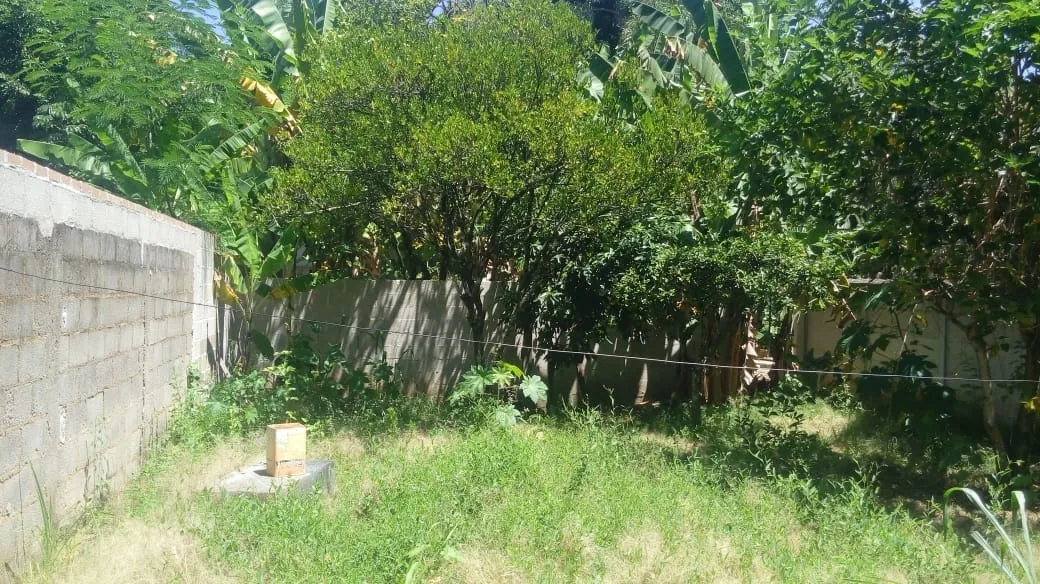 Imagem Casa à venda 2 Quartos, 300M², Centro, Roseira - SP