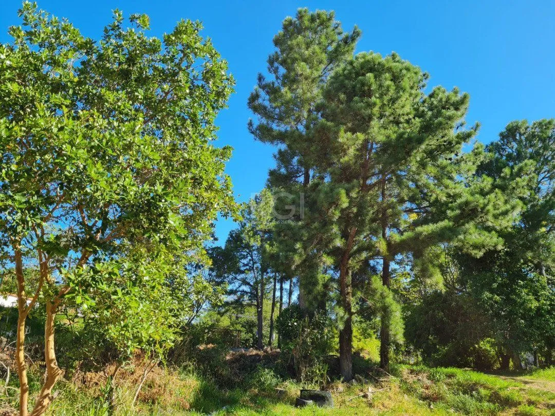 Imagem Terreno para Venda - 0m², 0 dormitórios, Vila Nova
