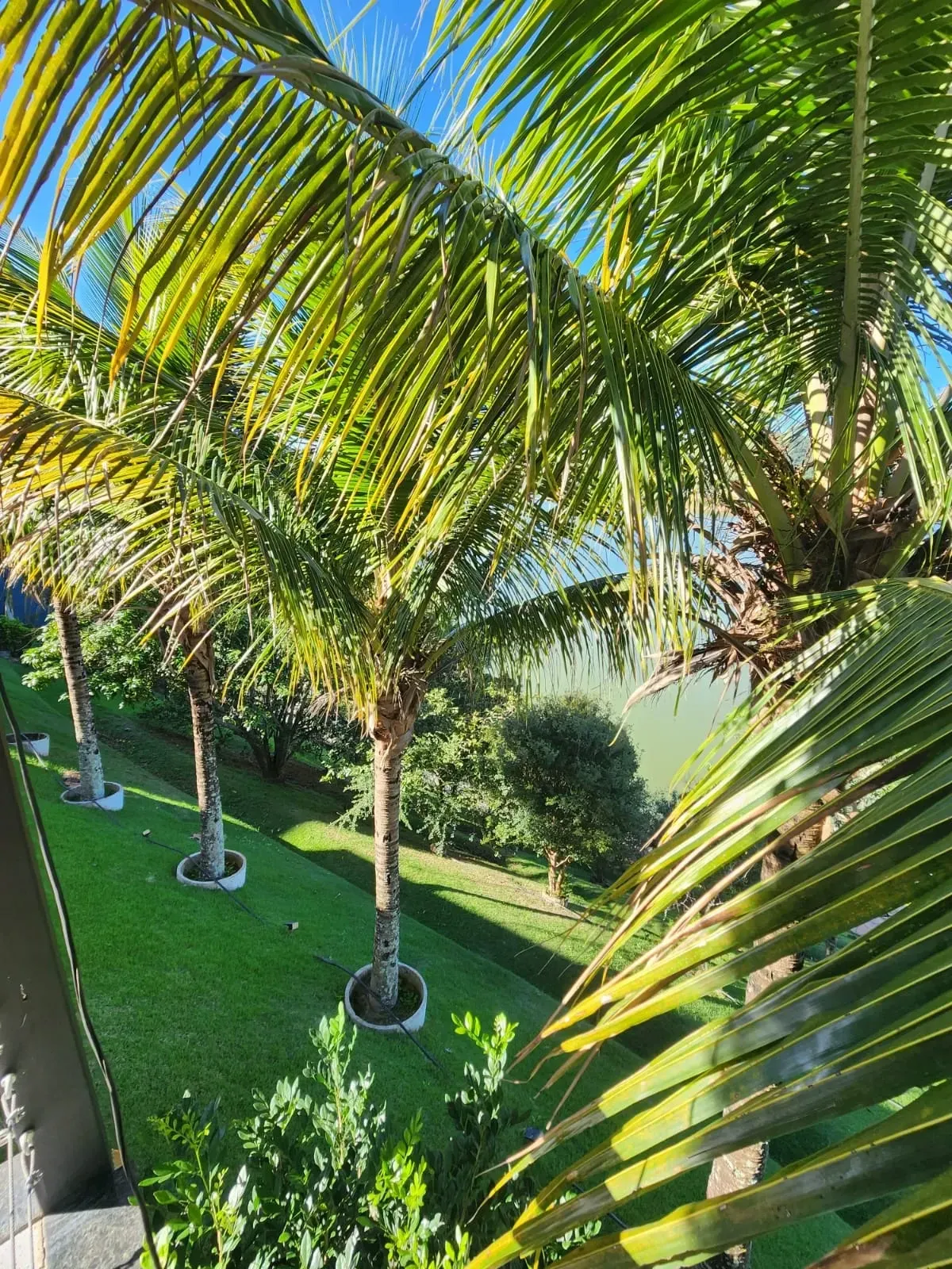 Imagem Chácara com 11 Quartos à Venda, 3000 m² em Paraíso de Igaratá - Igaratá