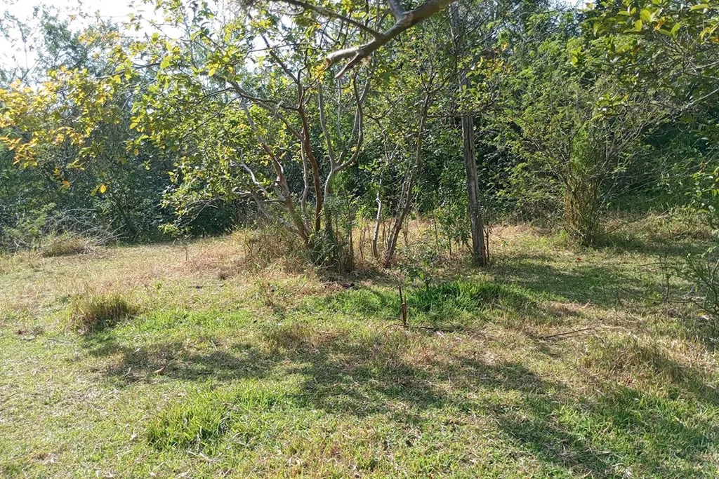 Imagem Fazenda em Belém Novo