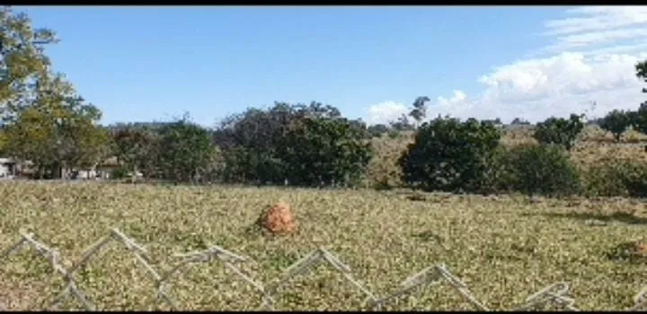 Imagem Área com 98mil m² à venda na Aparecidinha